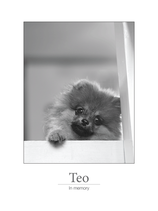 teo700